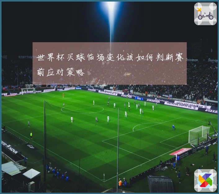 世界杯买球临场变化该如何判断赛前应对策略